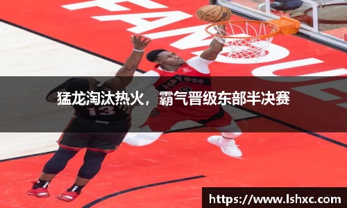 猛龙淘汰热火，霸气晋级东部半决赛